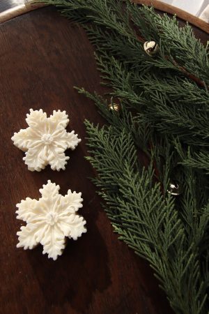 SNOWFLAKE